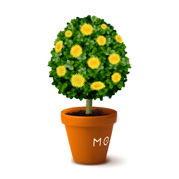 Creative icon: potted plant with flowers