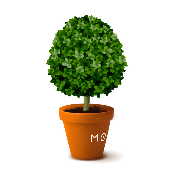 Creative icon: potted plant
