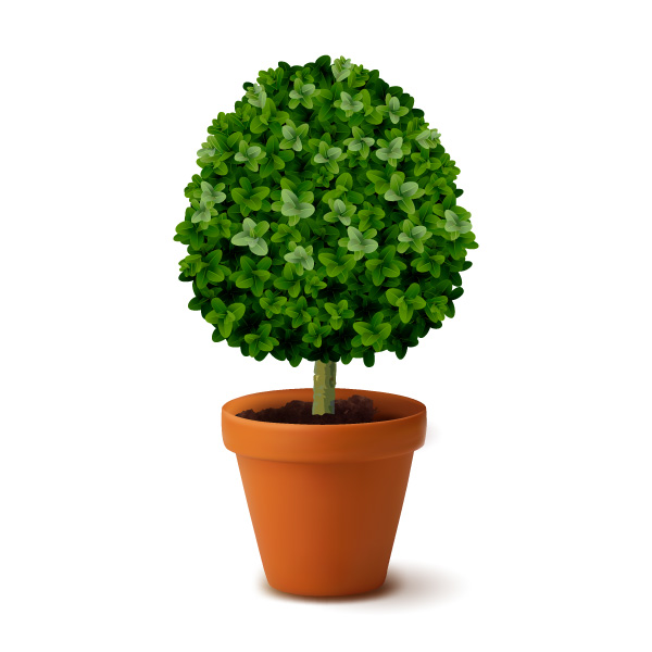 Creative icon: potted tree