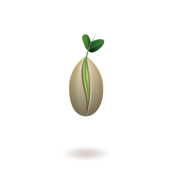 Strategic icon: sprouting seed